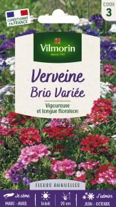 Verveine Brio Variée